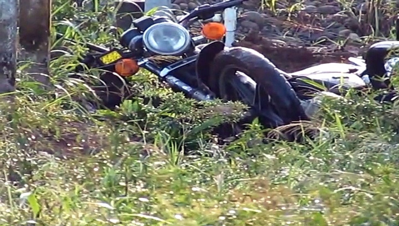 MUERTA SAN CARLOS