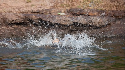 FEMME ACTUELLE - Un père tue sa fille de 11 ans en la poussant de le Rhône