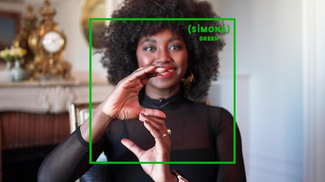 SIMONE : Inna Modja et ce projet qui pourrait sauver l'Afrique du réchauffement climatique