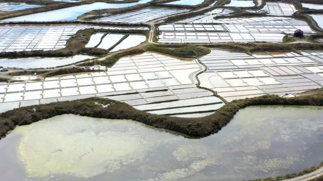 Cuisine Actuelle -Fleur de sel, gros sel, sel fin : quelles différences et quels usages ?