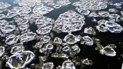 Stunning chunks of ice float on river in Poland