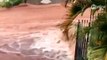 Chuva provoca alagamentos e quedas de árvores em Apucarana
