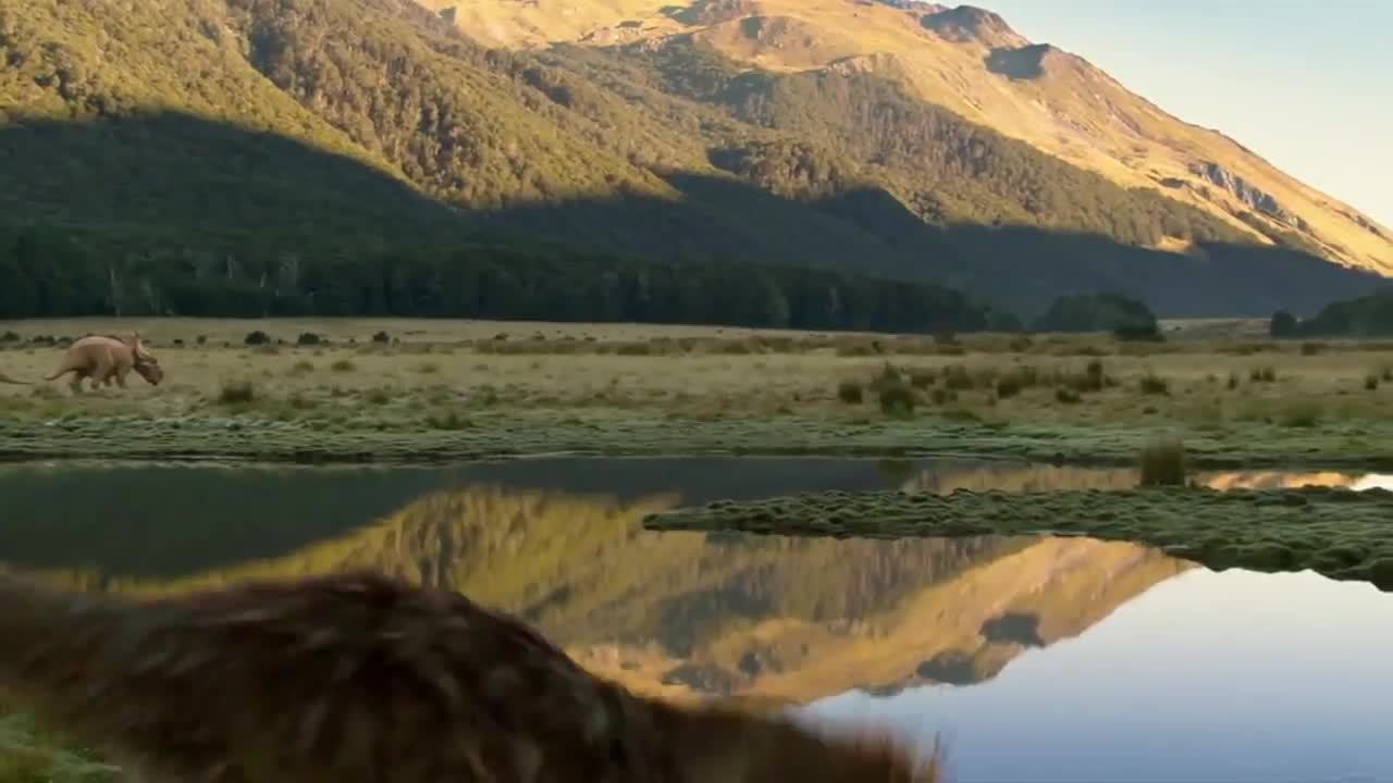 Sur la terre des dinosaures