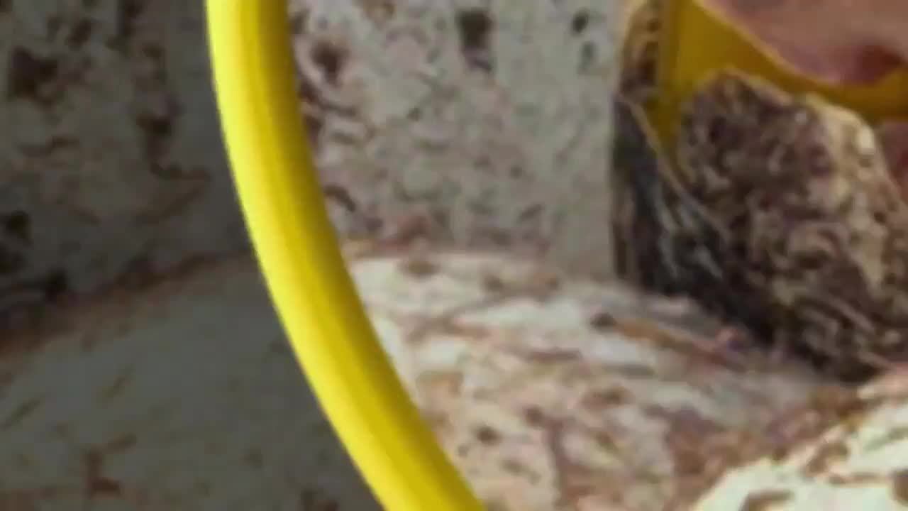 Sur la terre des dinosaures