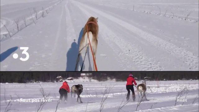 Faut pas rêver - 18 février