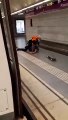 Detenido un grupo de 'skaters' en el Metro de Barcelona