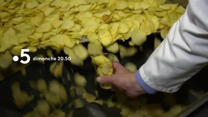 Comment les chips nous font craquer - 17 février