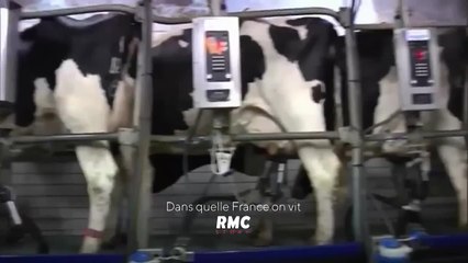 Dans quelle France on vit : Agriculteurs : entre doutes et passion