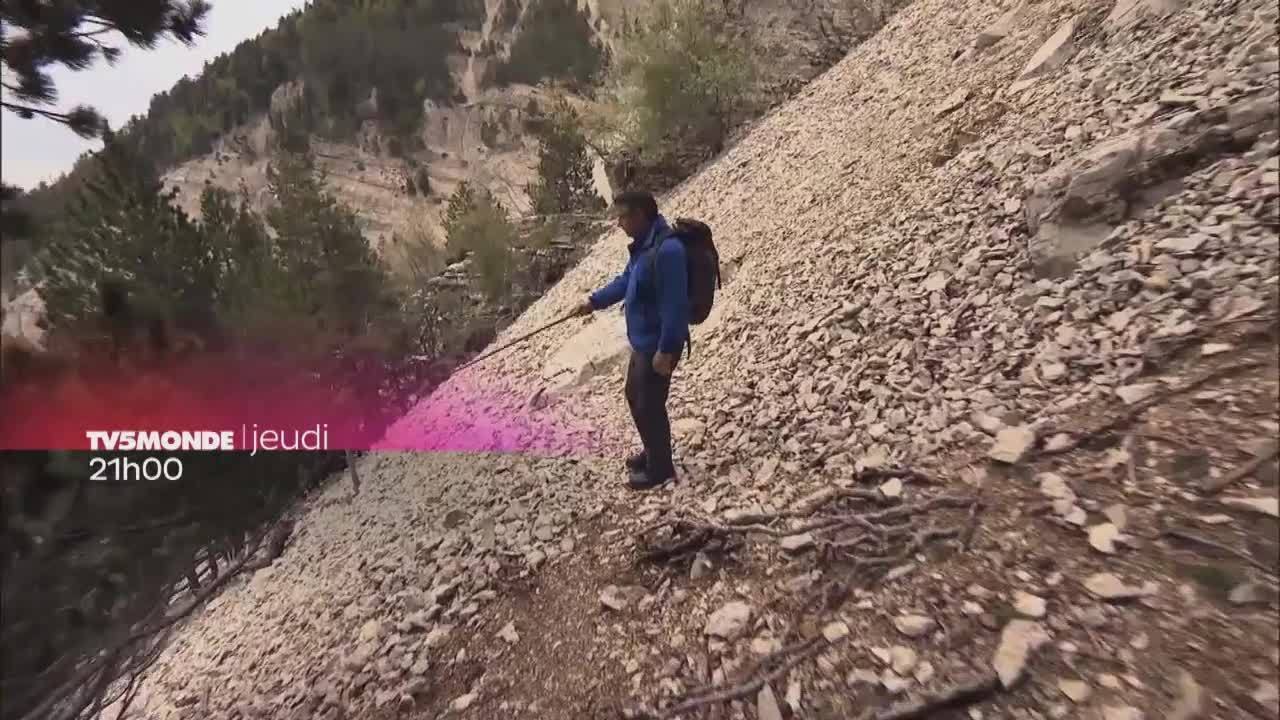 Des racines et des ailes : Trésors du Vaucluse