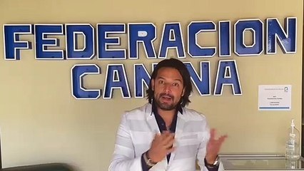 ext-juicio-maltrato-gato-040122