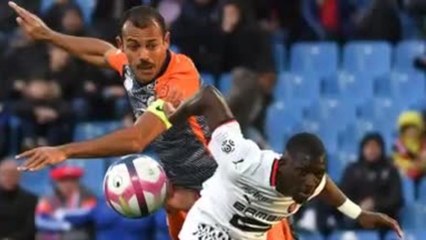Transferts - Hilton un an de plus à Montpellier ? : "Pourquoi pas..."