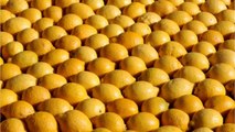 FEMME ACTUELLE - Comment conserver les citrons ?