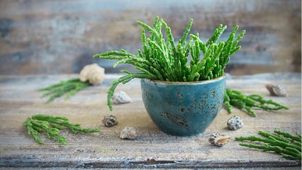 FEMME ACTUELLE - La salicorne : un légume minceur qui change !