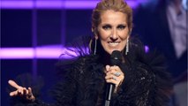 FEMME ACTUELLE - Céline Dion s'affiche très amaigrie sur Instagram : ses fans s'inquiètent