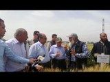 وزير الزراعة يفتتح موسم زراعة القطن في كفر الشيخ