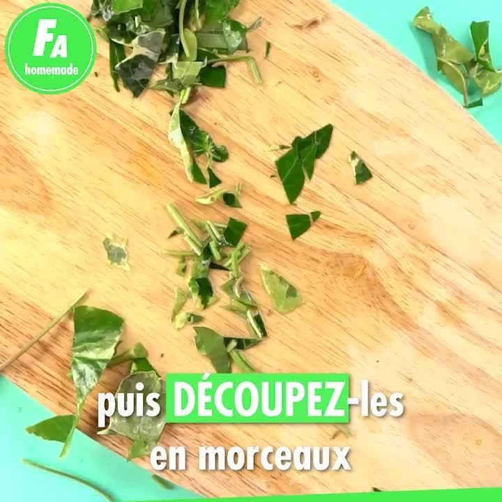FEMME ACTUELLE - Comment faire sa propre lessive au lierre ?