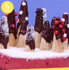 FEMME ACTUELLE - Gâteau de Noël inspiration forêt