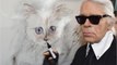 FEMME ACTUELLE - Mort de Karl Lagerfeld : qui va s'occuper de Choupette, la chatte multimillionnaire du couturier, seule héritière ?