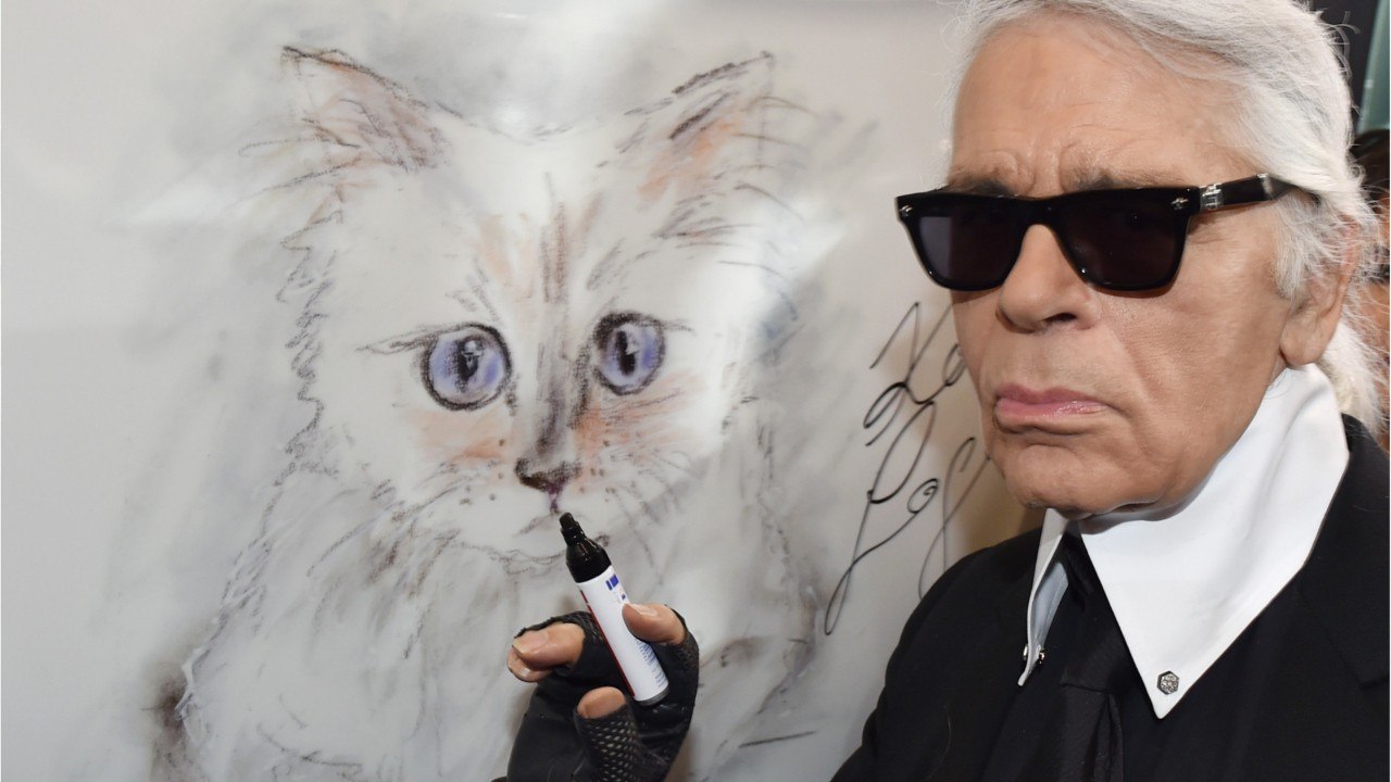 FEMME ACTUELLE - Mort de Karl Lagerfeld : qui va s'occuper de Choupette, la chatte multimillionnaire du couturier, seule héritière ?