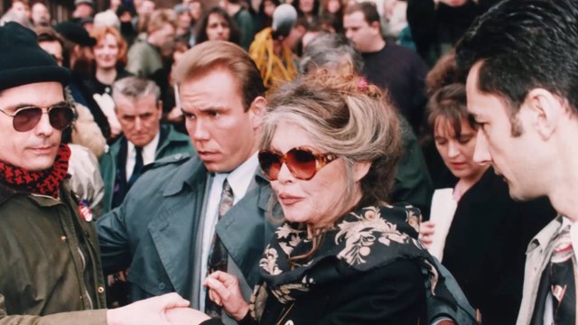 FEMME ACTUELLE - Brigitte Bardot, amaigrie, apporte son soutien aux gilets jaunes avec un cliché étonnant