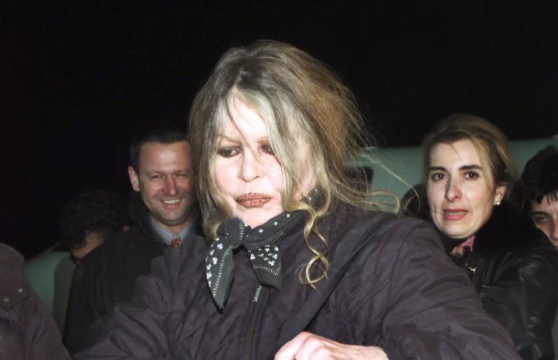 FEMME ACTUELLE - Brigitte Bardot dézingue Emmanuel Macron