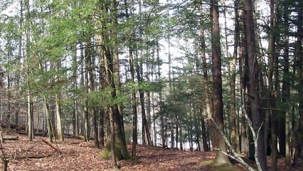 View of Ithaca Reservoir that Water Supply Source for Ithaca