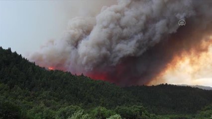 BUENOS AIRES - Arjantin'de devam eden orman yangınlarına müdahale sürüyor