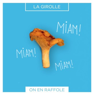 La Girolle - Alfapac