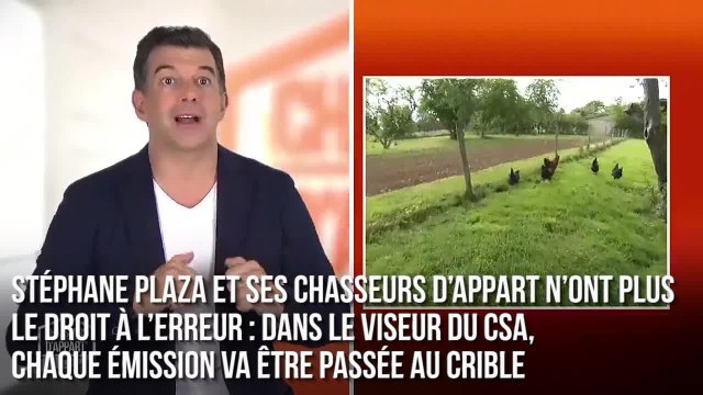 FEMME ACTUELLE - Stéphane Plaza dans le viseur du CSA suite à des remarques sexistes dans Chasseurs