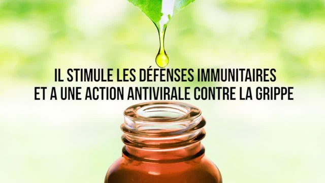 FEMME ACTUELLE - 10 huiles essentielles à avoir chez soi