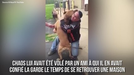 FEMME ACTUELLE - Un homme récupère son chien volé 4 ans après : leurs retrouvailles sont émouvantes