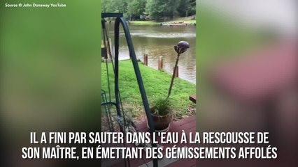 FEMME ACTUELLE - Ce chien affolé pense que son maître se noie : sa réaction est absolument touchante