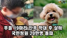 푸들 19마리 잔혹 학대 후 살해... 국민 청원 20만명 돌파