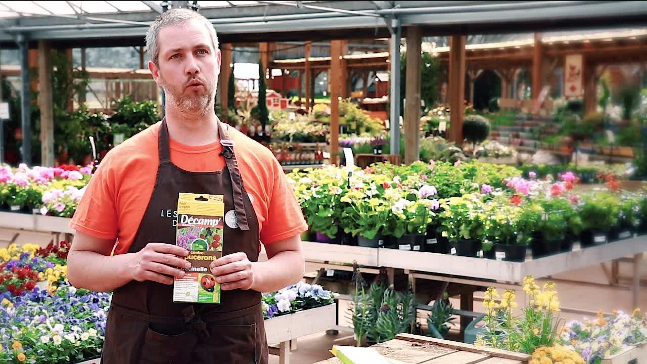 FEMME ACTUELLE - Nos amis les auxiliaires de jardin