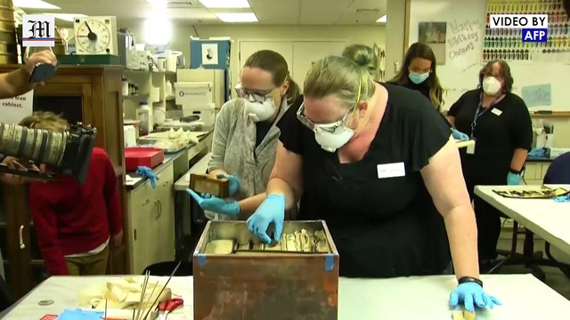 Time capsule from Confederate statue reveals US Civil War artifacts