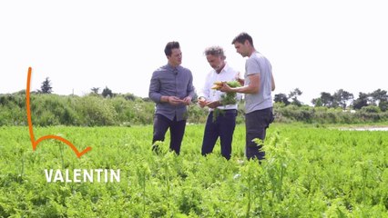 FEMME ACTUELLE - À la découverte des carottes de sable