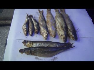 طرق لمعرفة الفسيخ الجيد من الفاسد