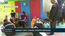 Sawah Jadi Lokasi Wisata Edukasi