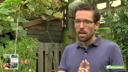 Permaculture : son potager urbain produit 300 kg sur 150 m2