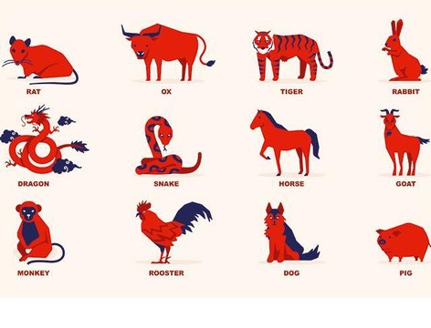 Horoscope chinois : découvrez votre signe