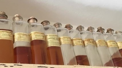 Les secrets de fabrication des Fleurs de Bach