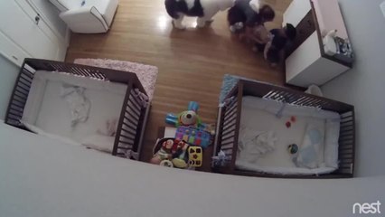 FEMME ACTUELLE - UN ENFANT DE 9 ANS SAUVE SON PETIT FRÈRE