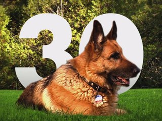 30 millions d'amis fête ses 40 ans