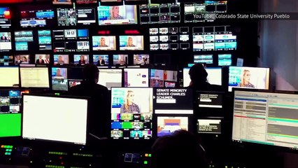 The Untold Truth Of Dana Perino