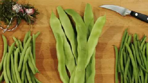 Comment cuire des haricots verts frais, surgelés ou en boîte + nos conseils  pour bien les congeler - Cuisine Actuelle
