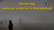 Dense fog reduces visibility in Moradabad