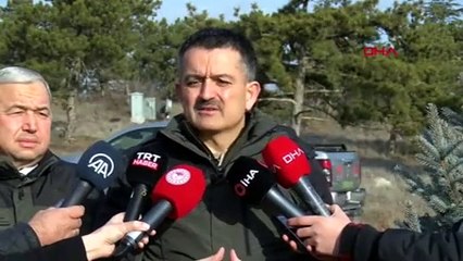 Bakan Pakdemirli 252 milyonuncu fidanı kendisi dikti