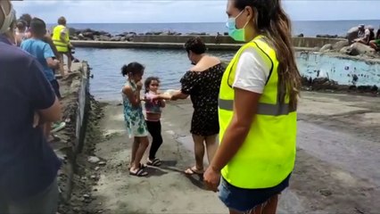 N'approchez pas l'éléphant de mer !