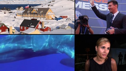 Les 10 bonnes nouvelles de 2021 (oui, il y en a)