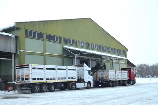 Muş'ta 38 bin 290 ton şeker üretimi yapıldı